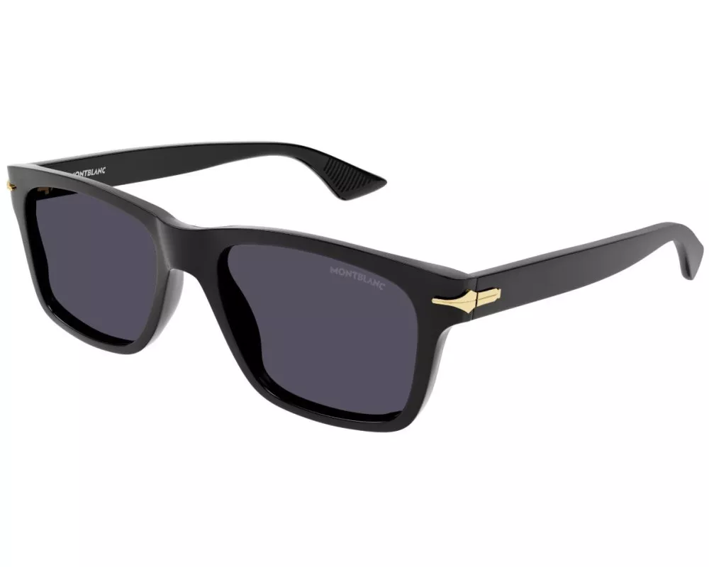 MONTBLANC MB0263S 001 54