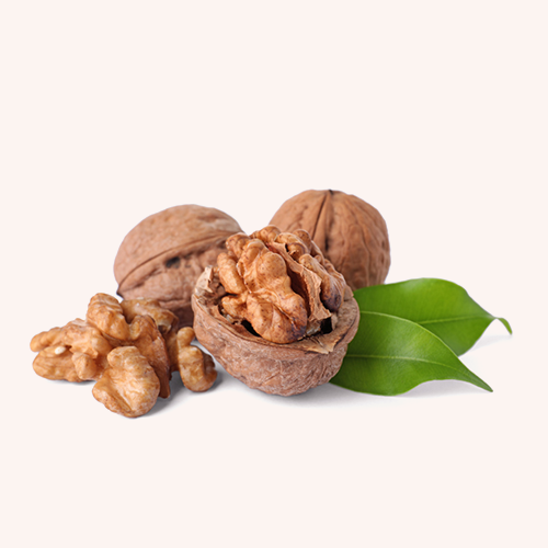 Raw Walnuts