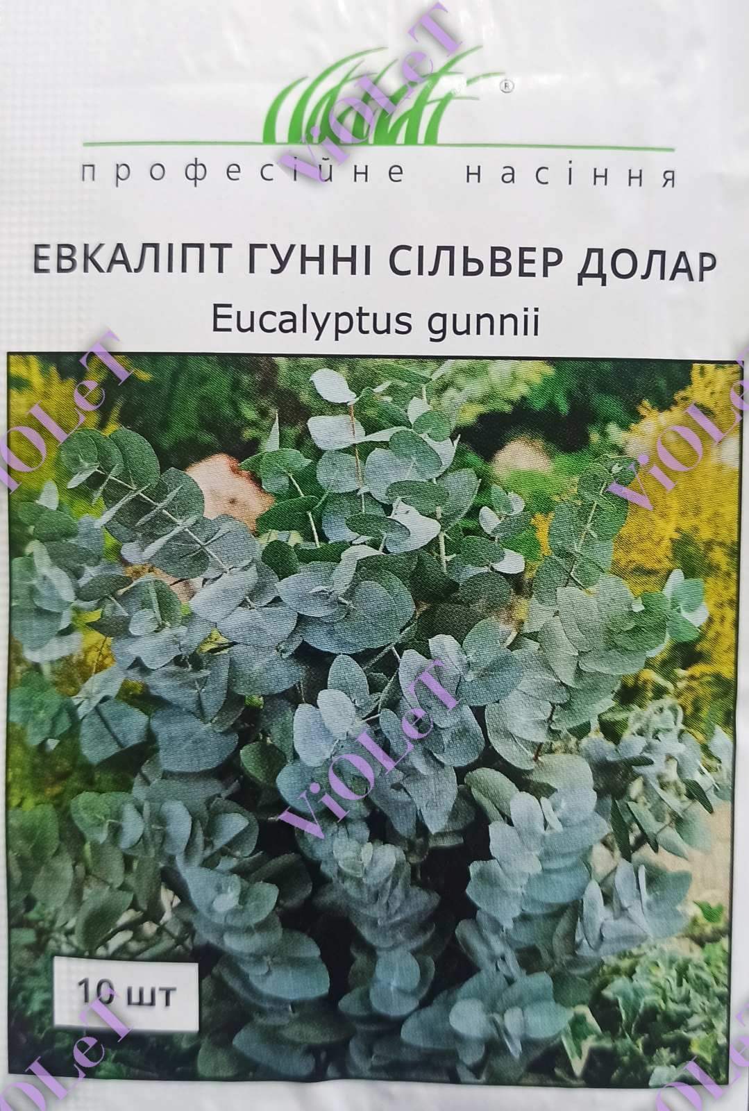 Евкаліпт Гунні Сільвер Долар, 10 шт. Професійне насіння