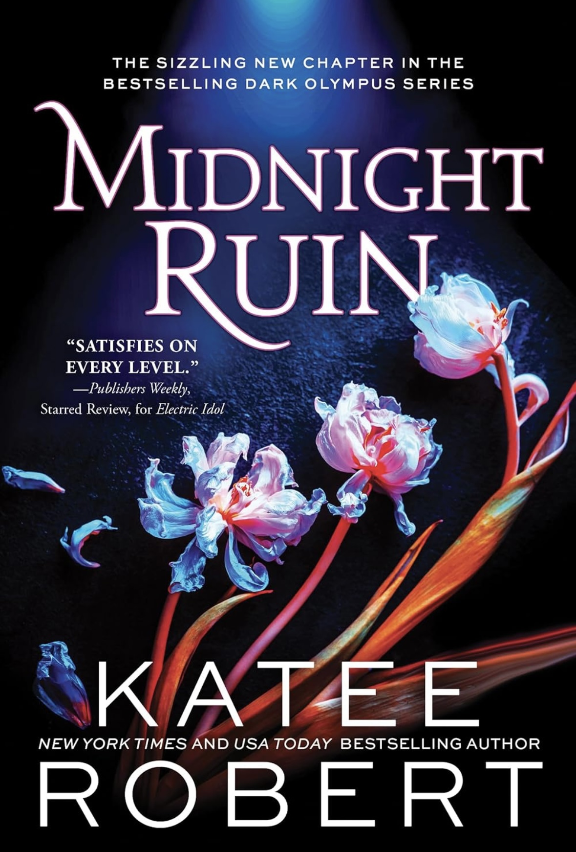 Midnight Ruin Katte Robert 