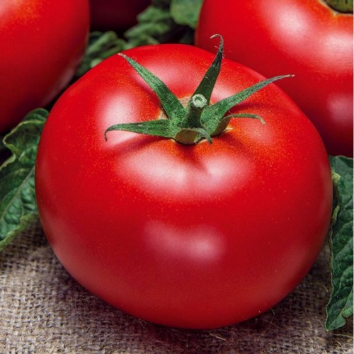 Волгоградский 5/95   3 г