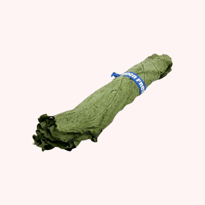 Hoja Santa