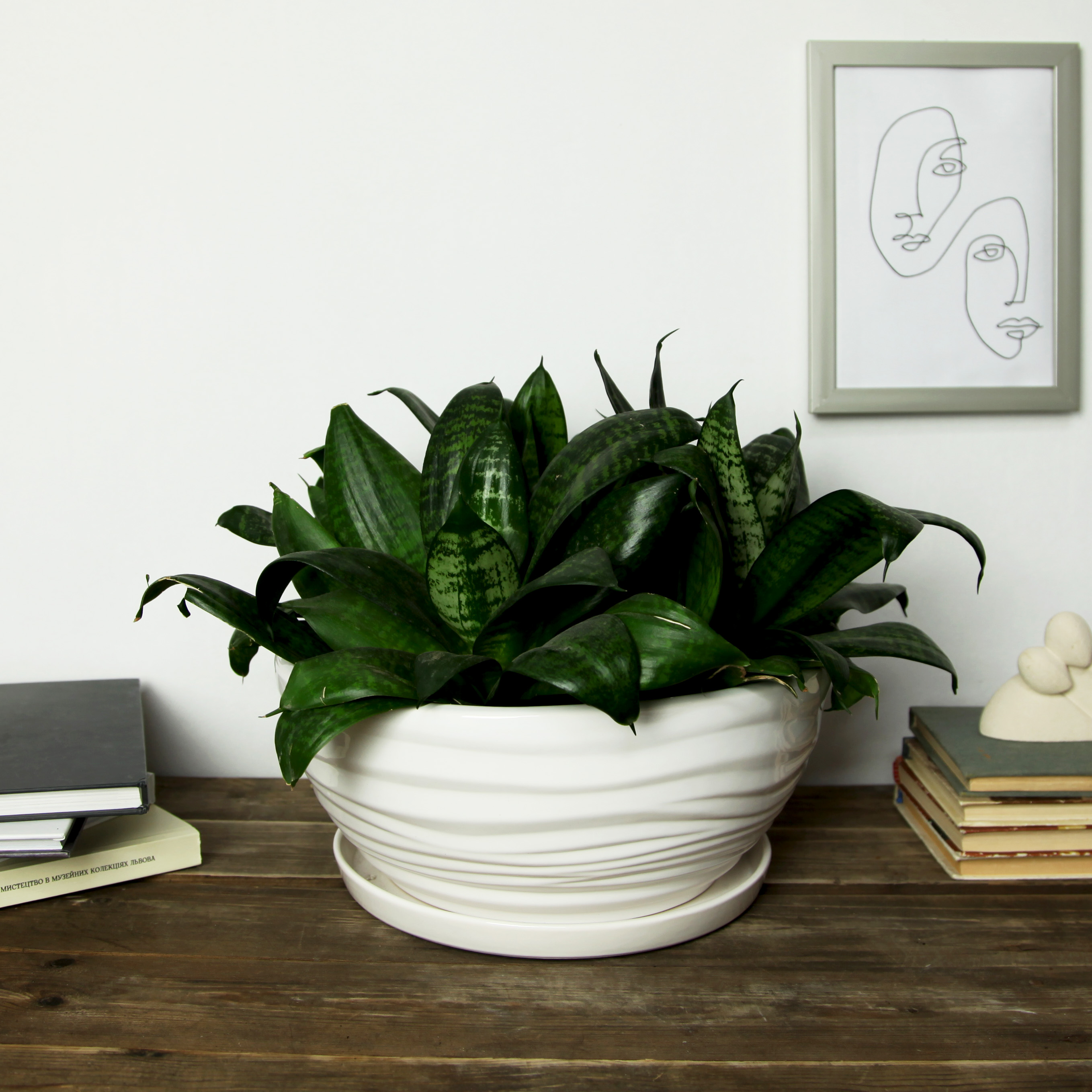 УЦІНКА Горщик Бонсайка 5,5 л Білий P267