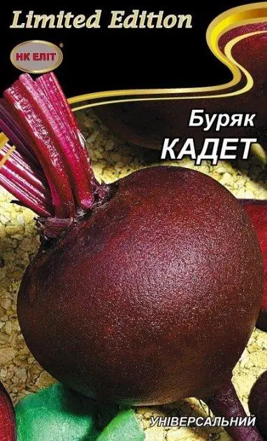 Насіння Буряк КАДЕТ 20г НК Еліт