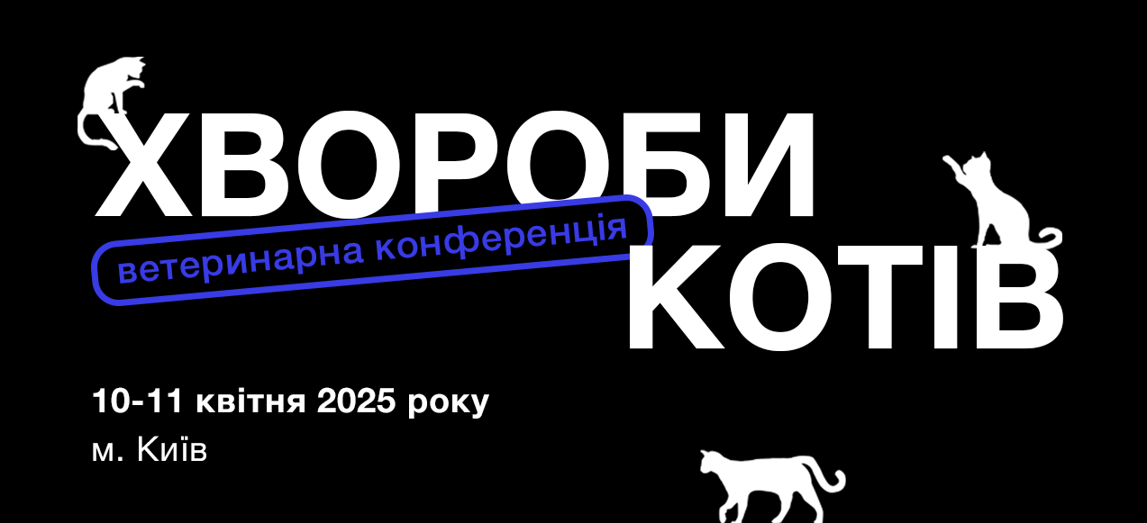 Відео «Хвороби котів»
