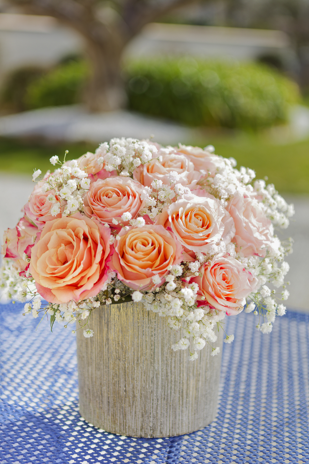 "ROSA"