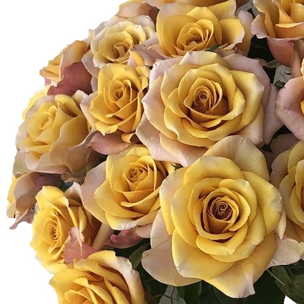 Хані Колорама — Honey Kolorama ( Stephane Plaza )