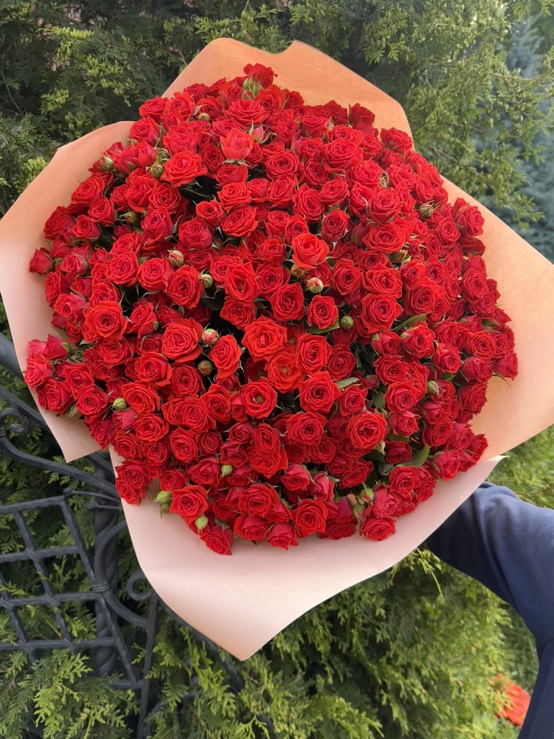 101 гілкова троянда "Ванесса"