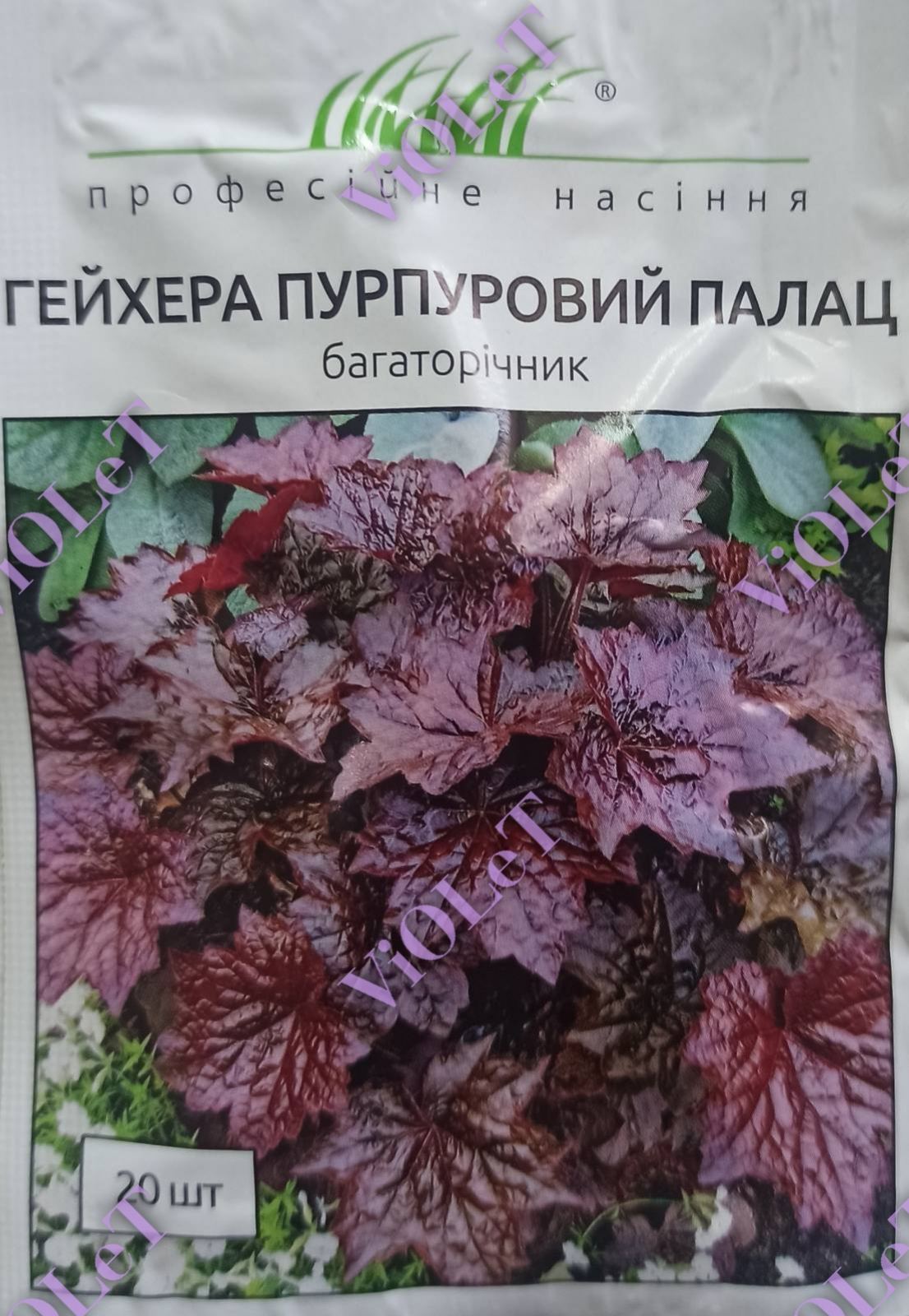 Гейхера Пурпуровий Палац, 20 шт, Професійне насіння