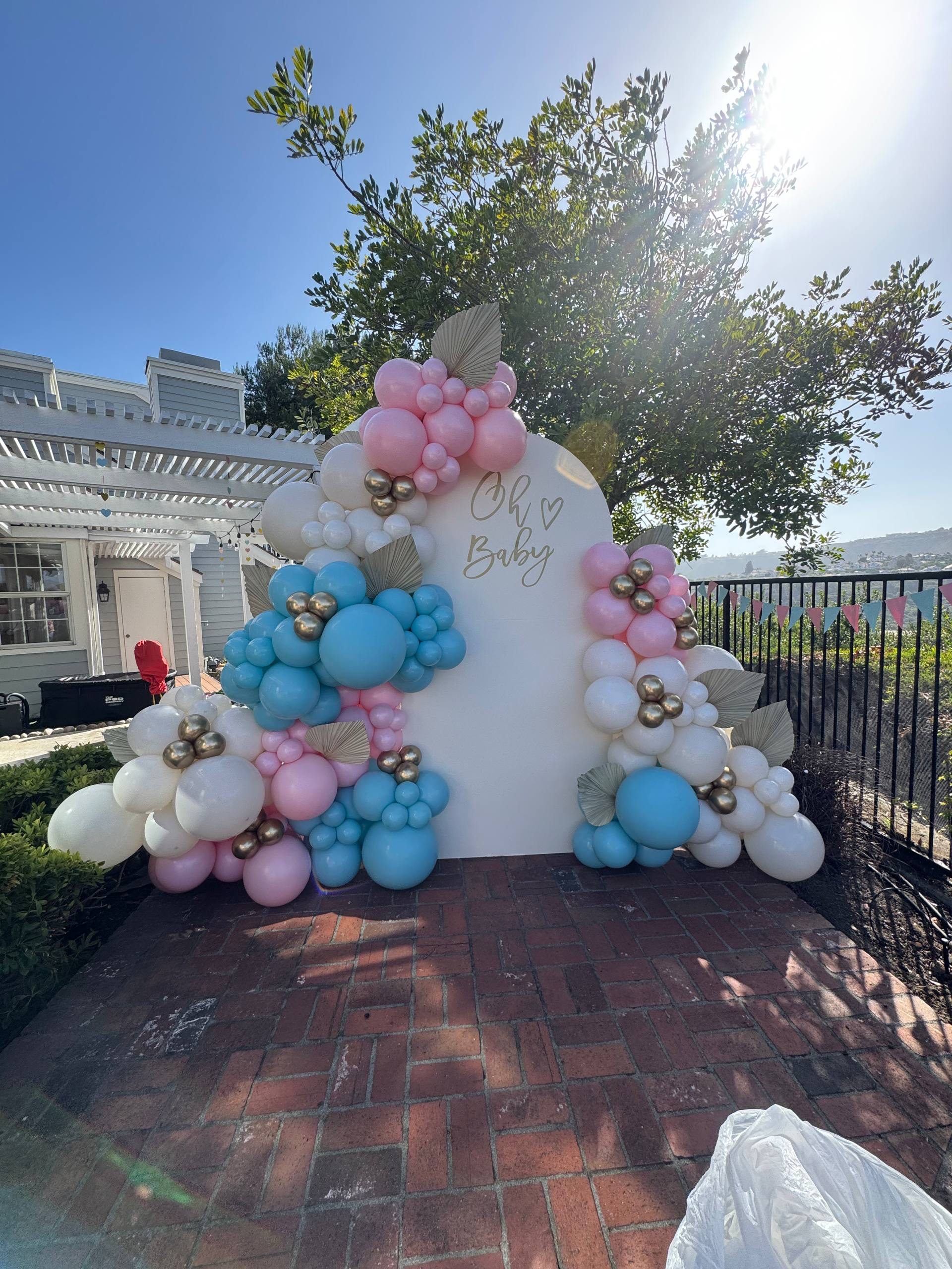 Pastel Oh Baby Backdrop