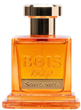 Bois 1920 Scorzaforza