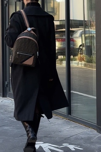 Fendi Chiodo Small Fendi Diagonal Brown FF Canvas Backpack