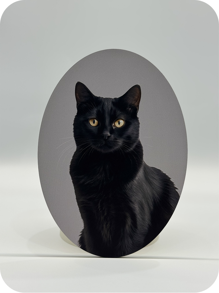 Пам’ятна фоторамка MEMORO | Овальна форма (глянцевий полікарбонат)