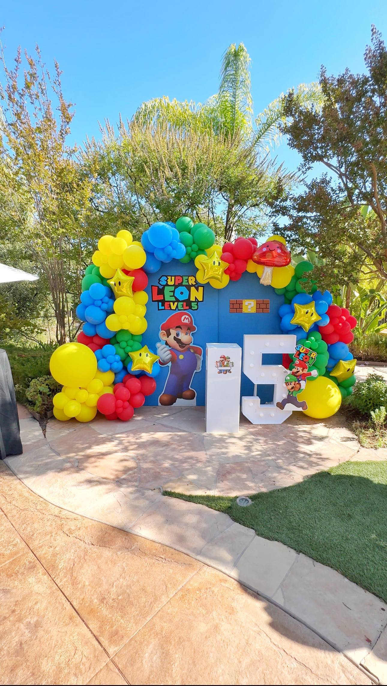 Super Mario Birthday Backdrop