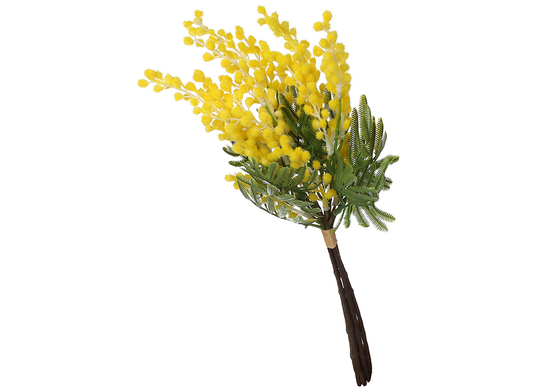 Букет Мімози