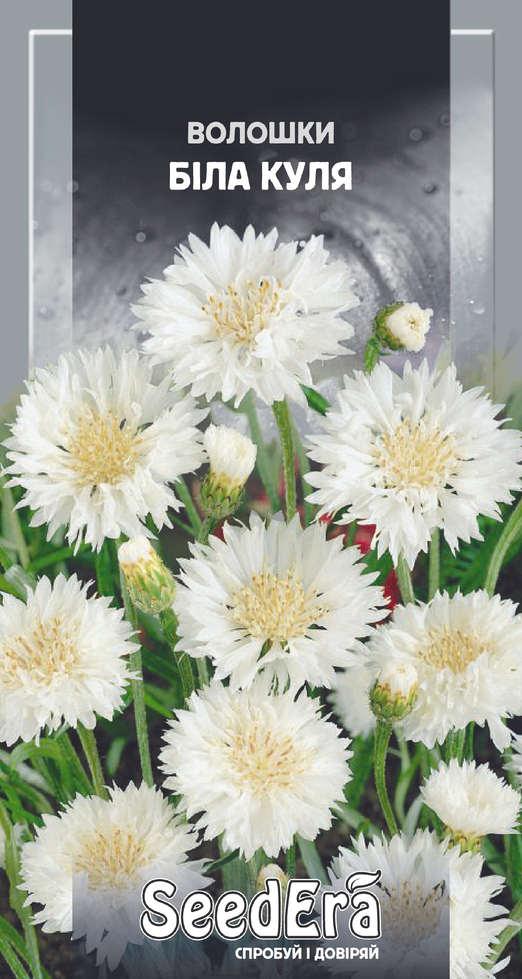 Насіння Квіти Волошки польові Біла куля, 0,5 г