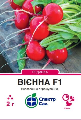 Редиска Вієнна F1, 2 г