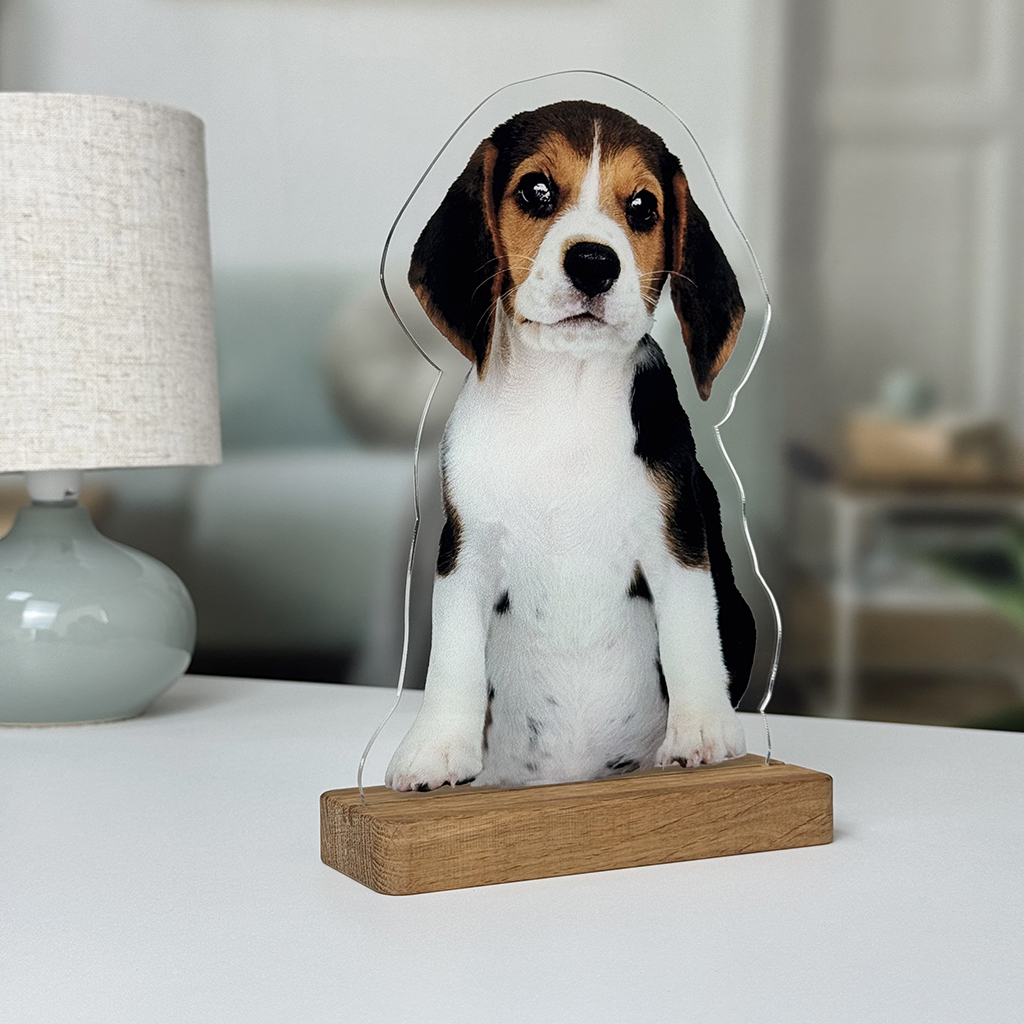 Акрилова фігурка 