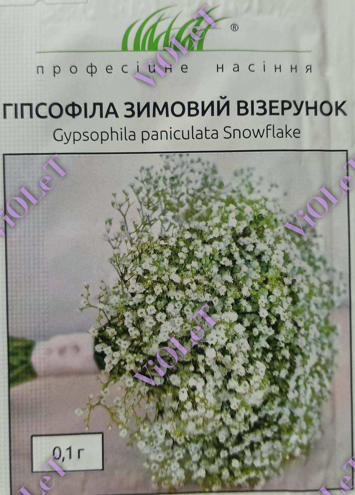 Гіпсофіла зимовий візерунок, 0,1 г Професійне насіння