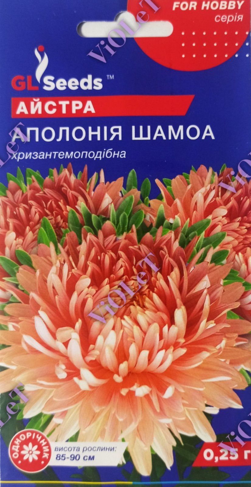 Айстра Аполонія Шамоа хризантемоподібна, 0,25 г GL Seeds