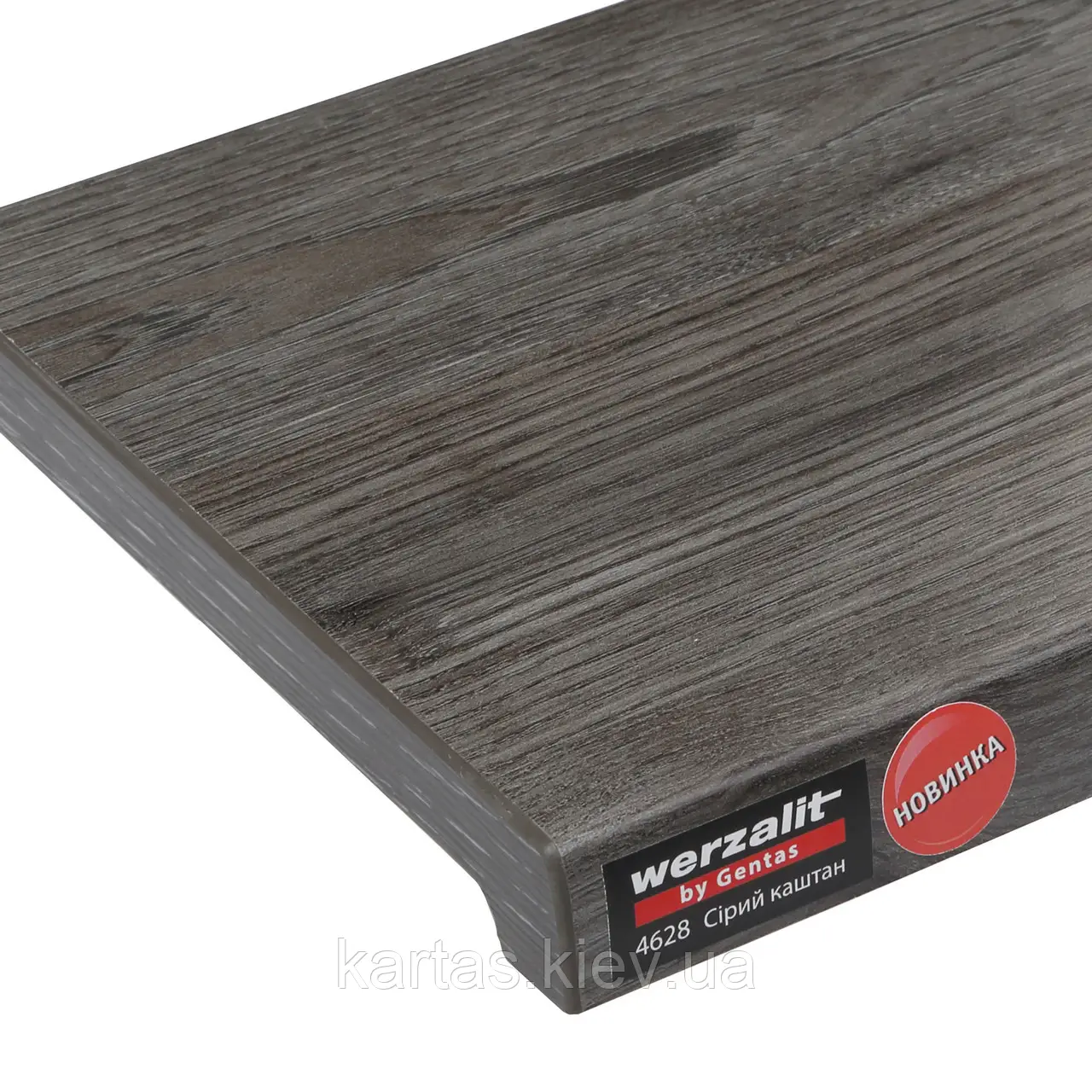 Сірий каштан 4628