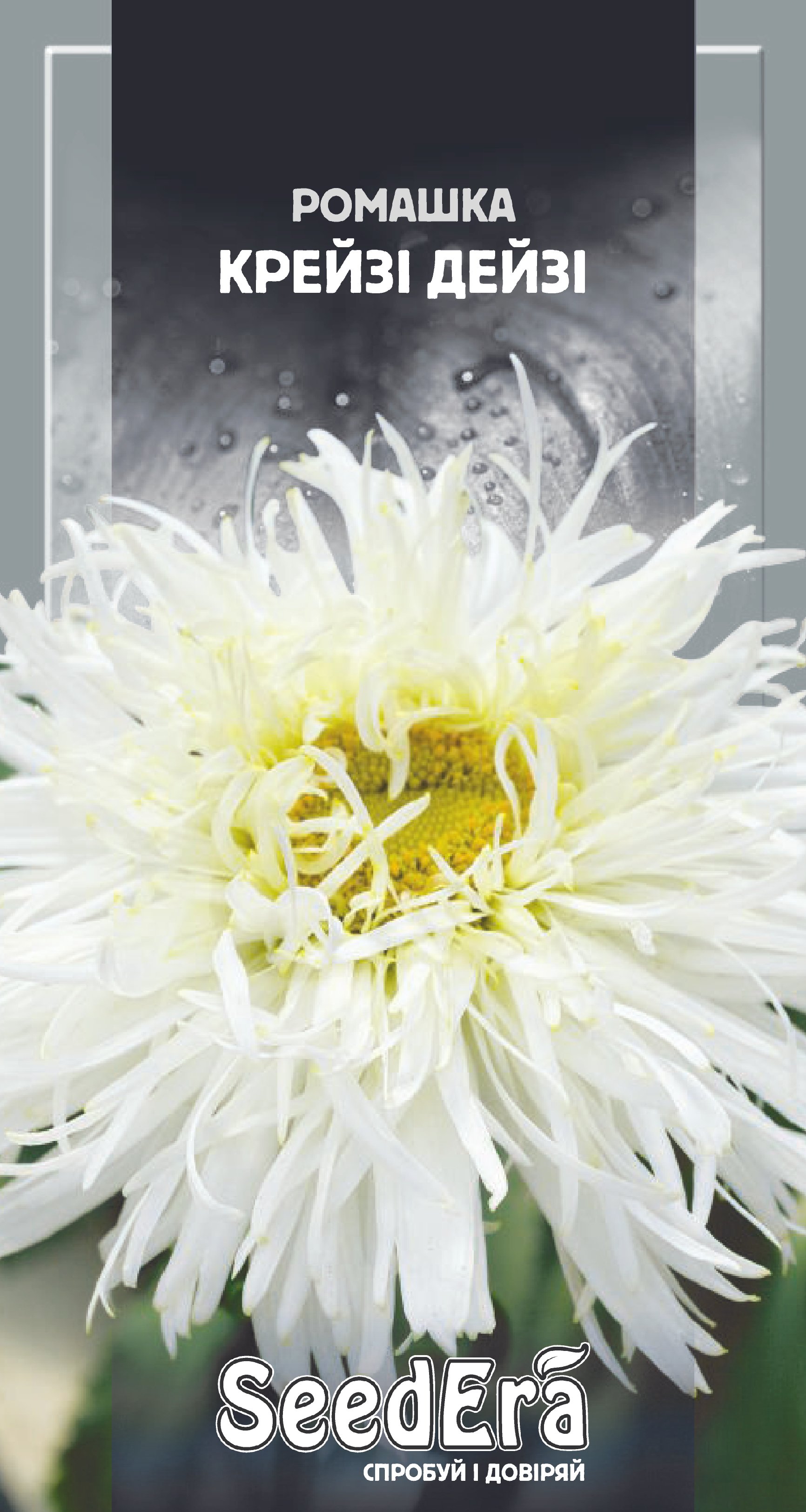 Насіння Квіти Ромашка великоквіткова Крейзі Дейзі багаторічна, 0,1 г