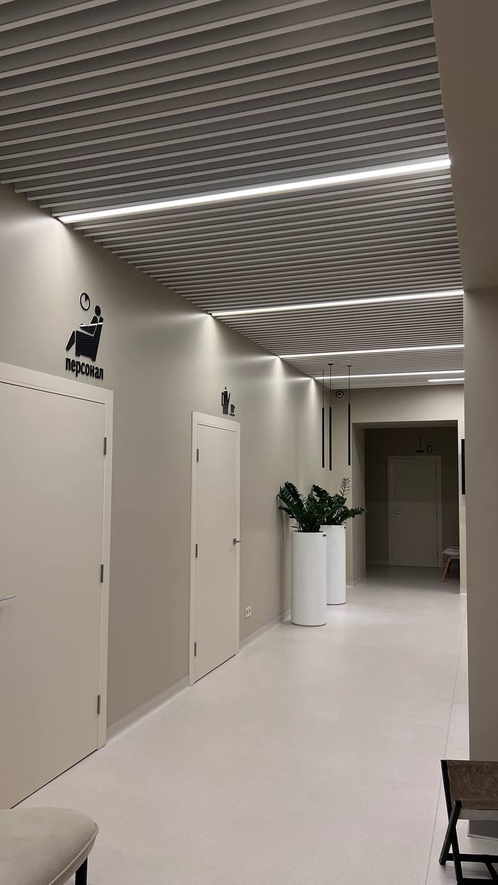 Пластинчаста рейкова стеля