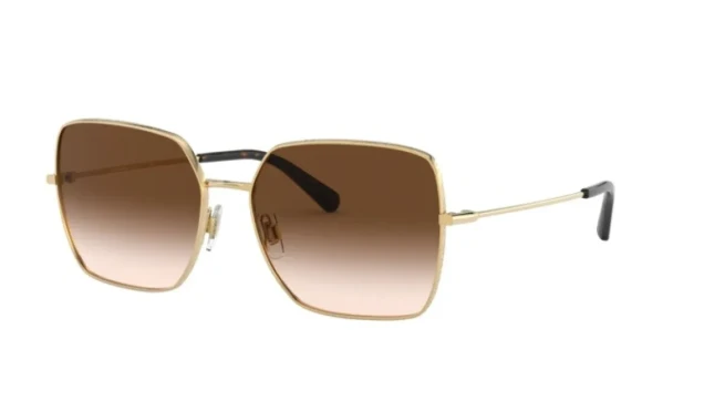 DOLCE & GABBANA DG 2242 02/13 57