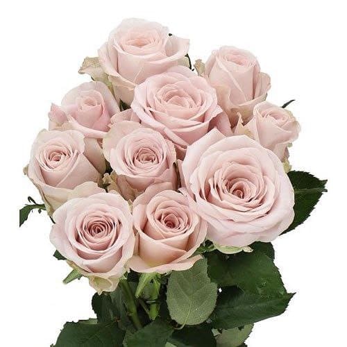 Ла Віда Лока (La Vida Loca)