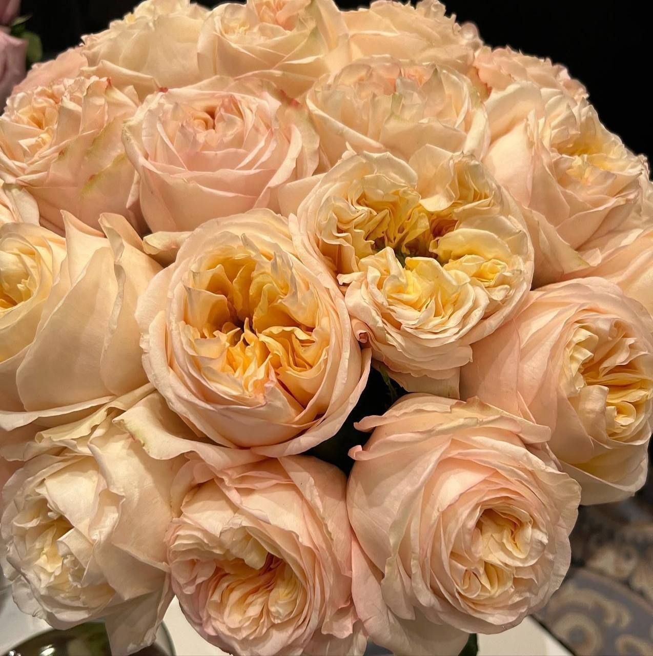 Крім Експрешн (Cream X-Pression)