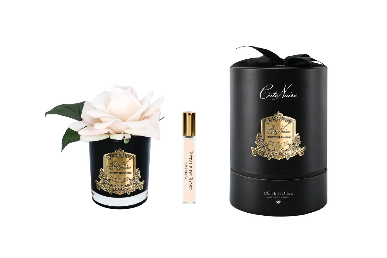 Аромаквіти Cote NoireFrench Rose Champagne Pink & Black Glass — ароматична троянда кольору рожевого шампанського у чорній скляній вазі