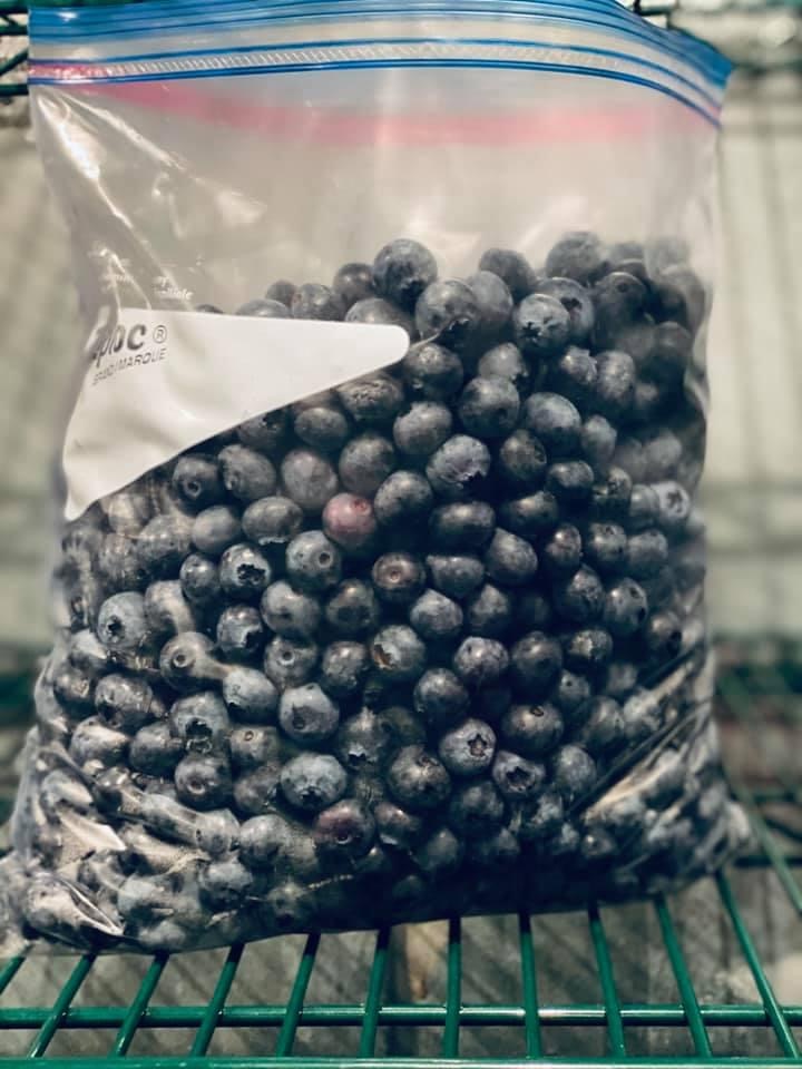 Frozen Blueberries (5 lbs.)