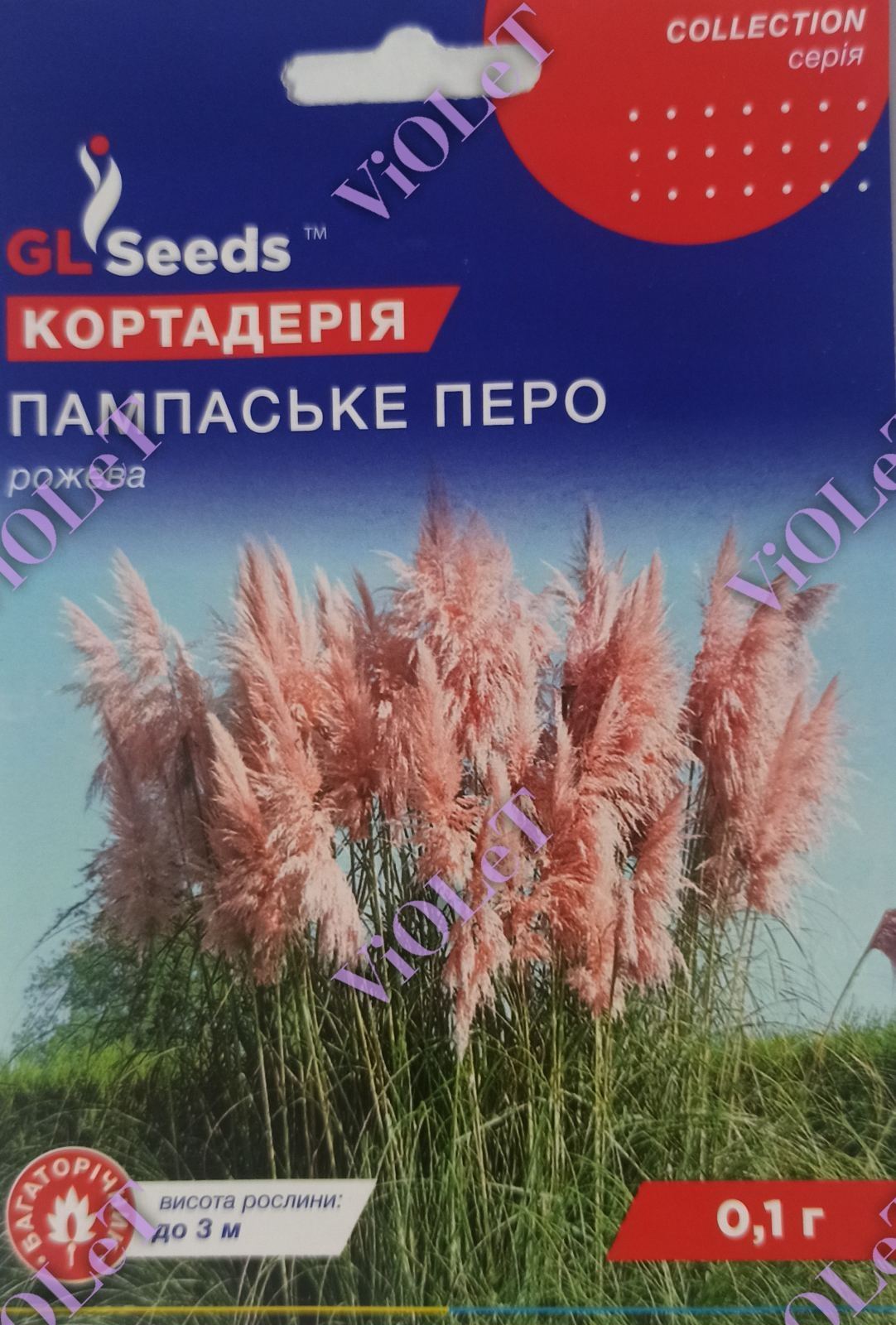Кортадерія Пампаське Перо, 0,1 г GL Seeds