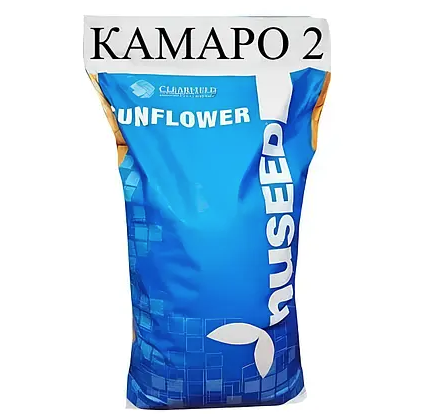Насіння соняшнику Камаро 2 Nuseed, насіння високоврожайного соняшнику Нусід