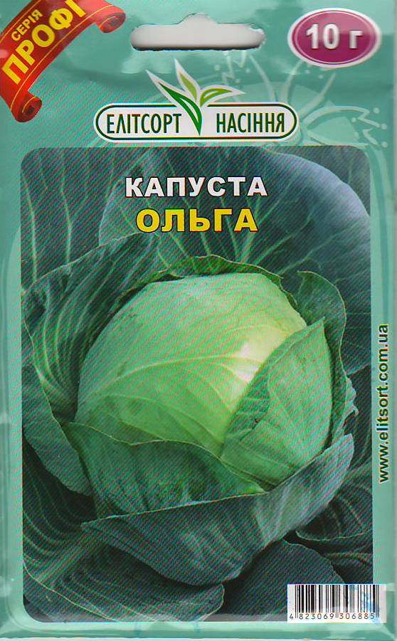 Насіння ПРОФ Капуста Ольга 20г