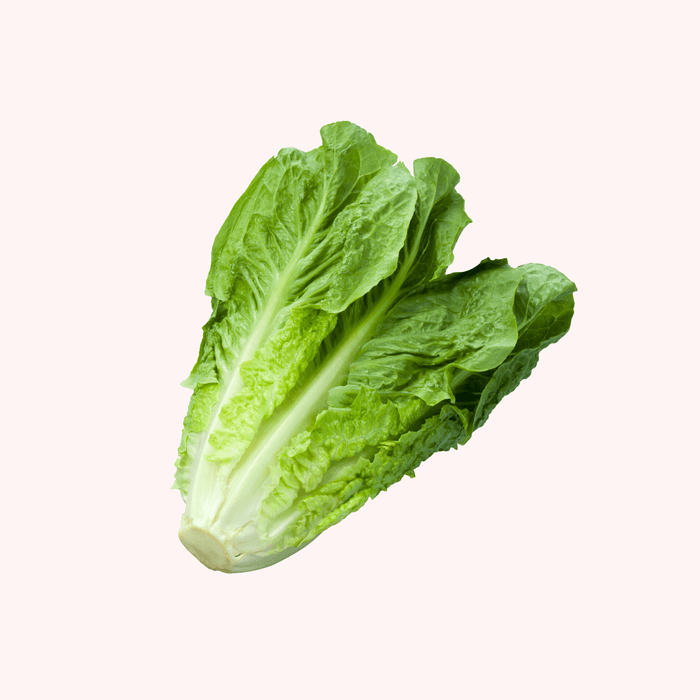 Lechuga Orejona