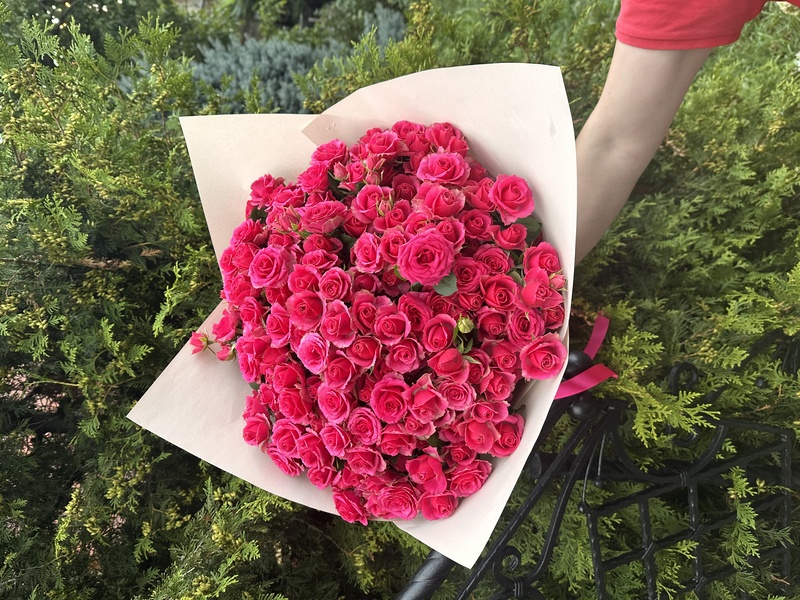 31 гілкова троянда "Ред Алексін"