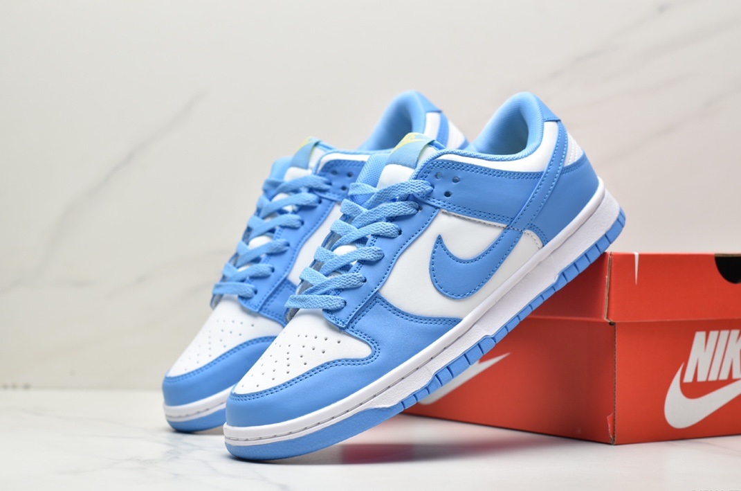 Nike SB Zoom Dunk Low DD1391-100