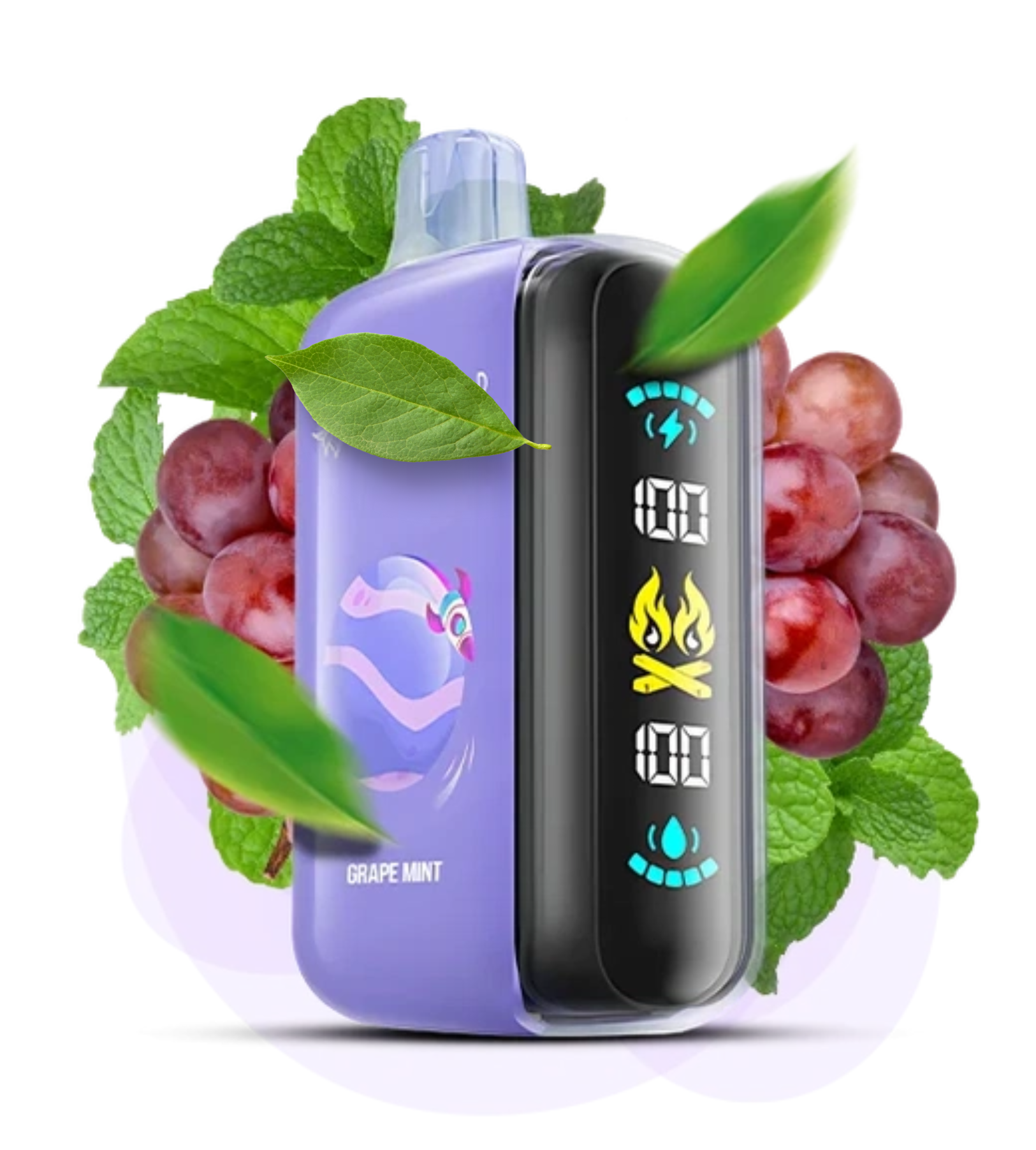 ELF RAYA D3 25000 Grape Mint ( Виноград М'ята )