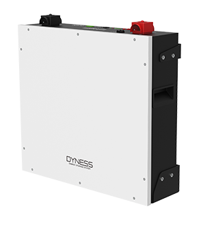 Акумуляторна батарея Dyness DL5.0C Heating (5,1 кВт*год 48В)