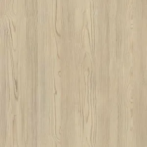 Кедр Північний