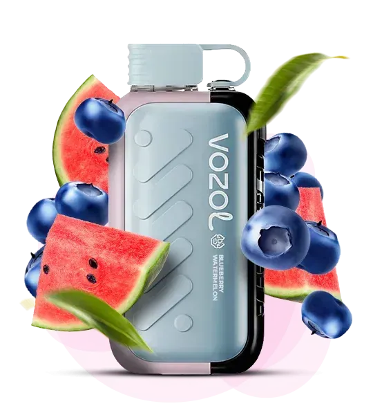 VozoI 50000 Blueberry Watermelon (Чорниця кавун)
