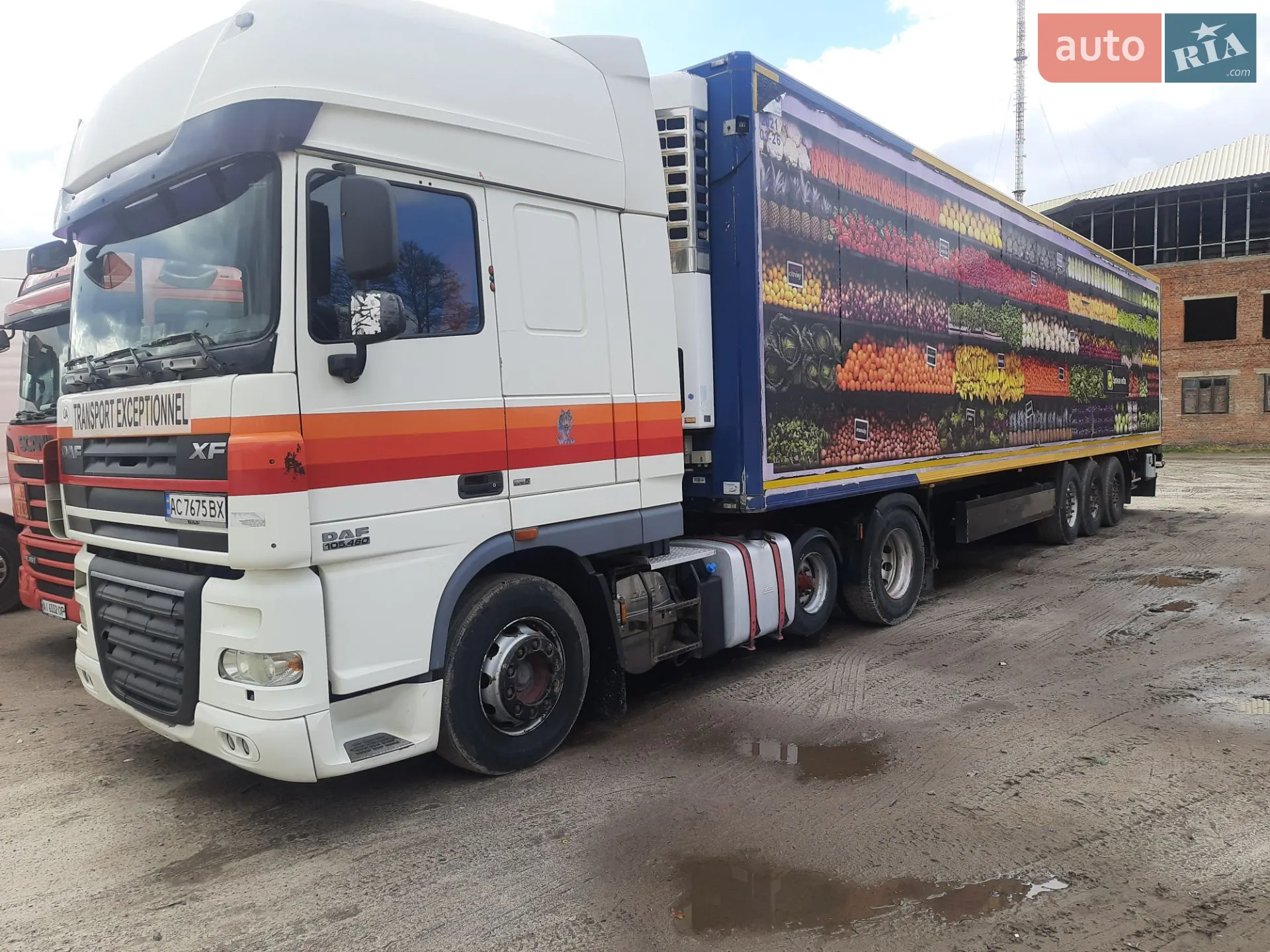 DAF XF 105.460 2005