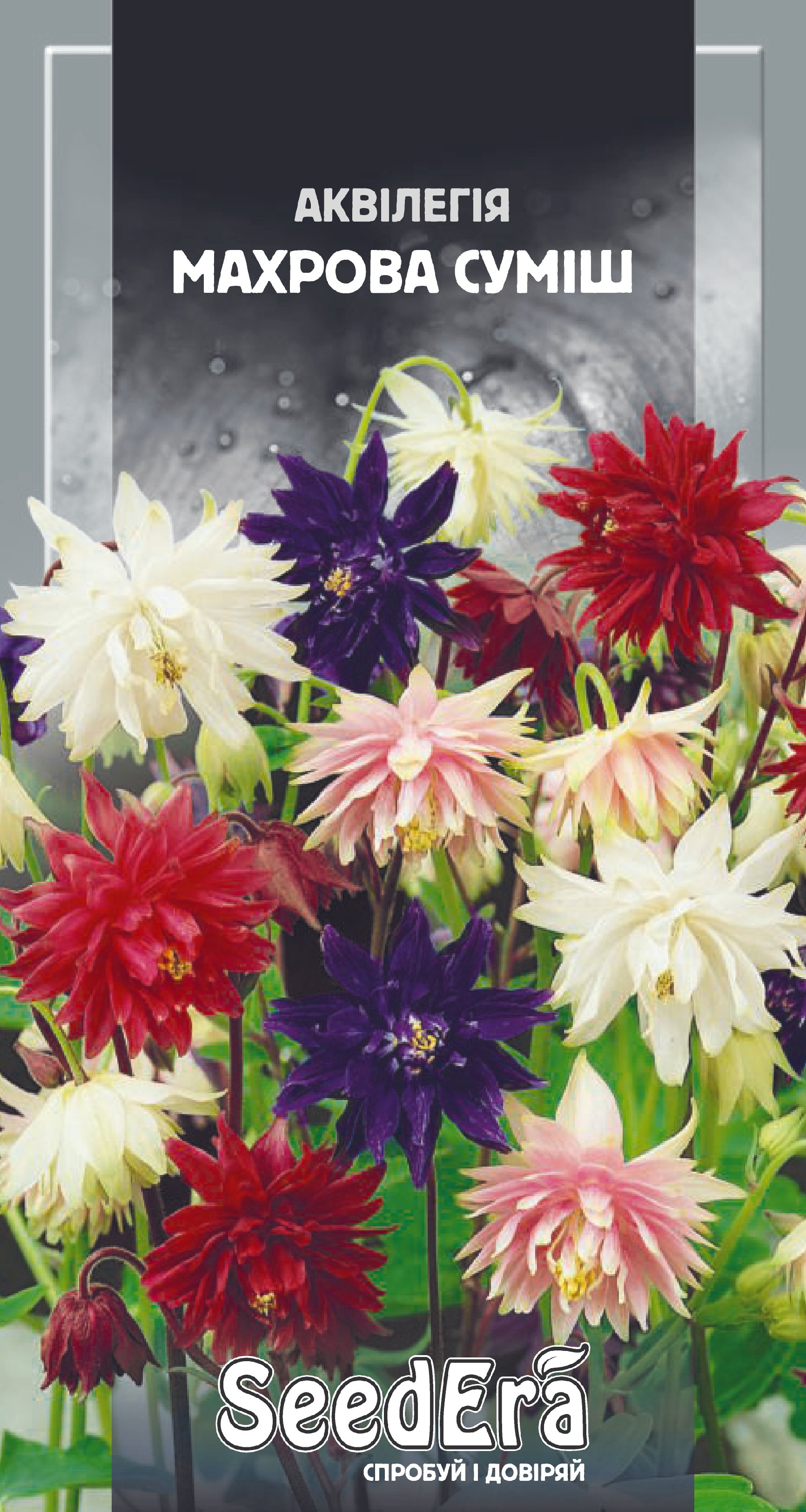 Насіння Квіти Аквілегія махрова суміш, 0,1 г