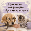 noname