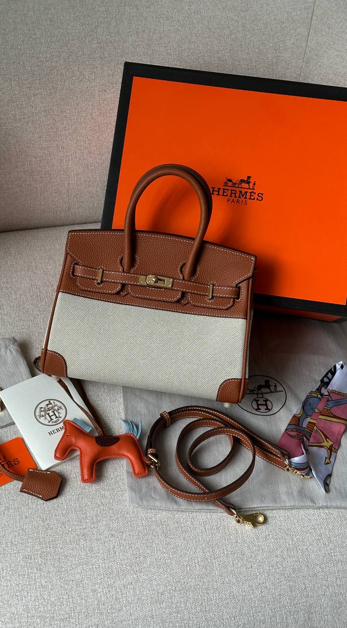 Hermes Birkin 25 Ginger/Canvas bag