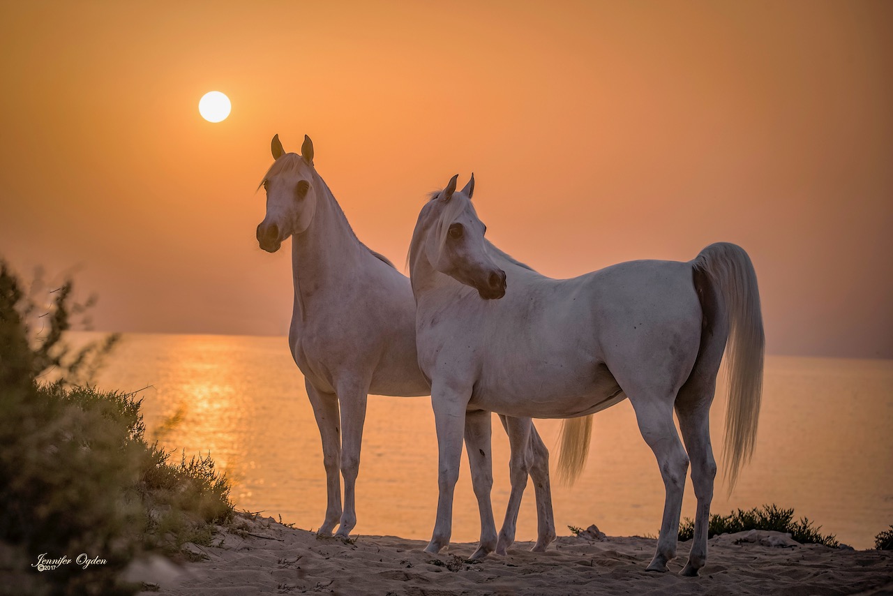 Beach at Sunrise