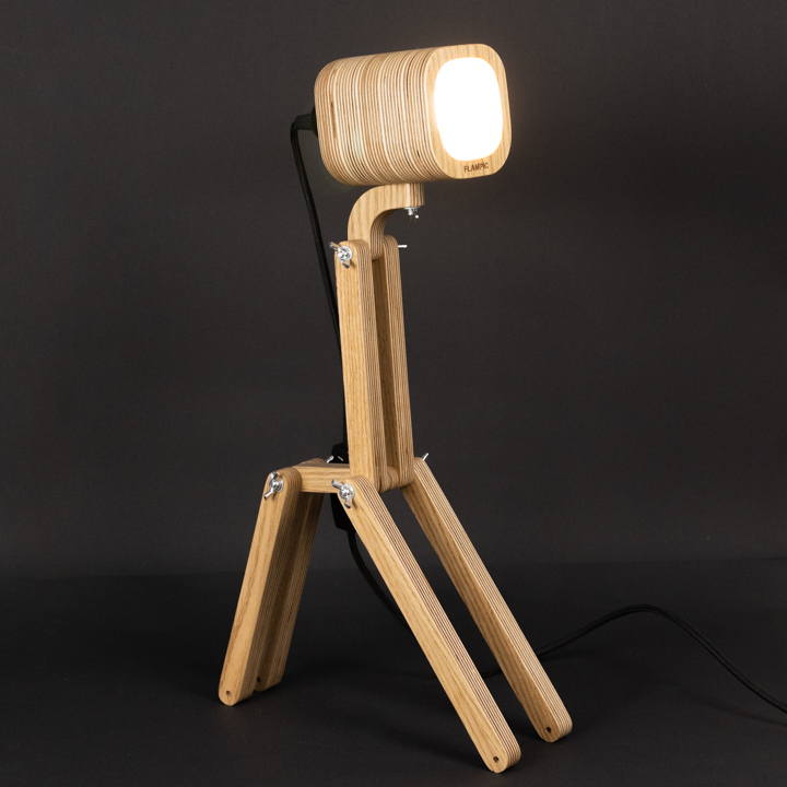 Giraffe Light