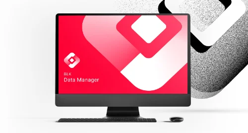 BLK Data Manager