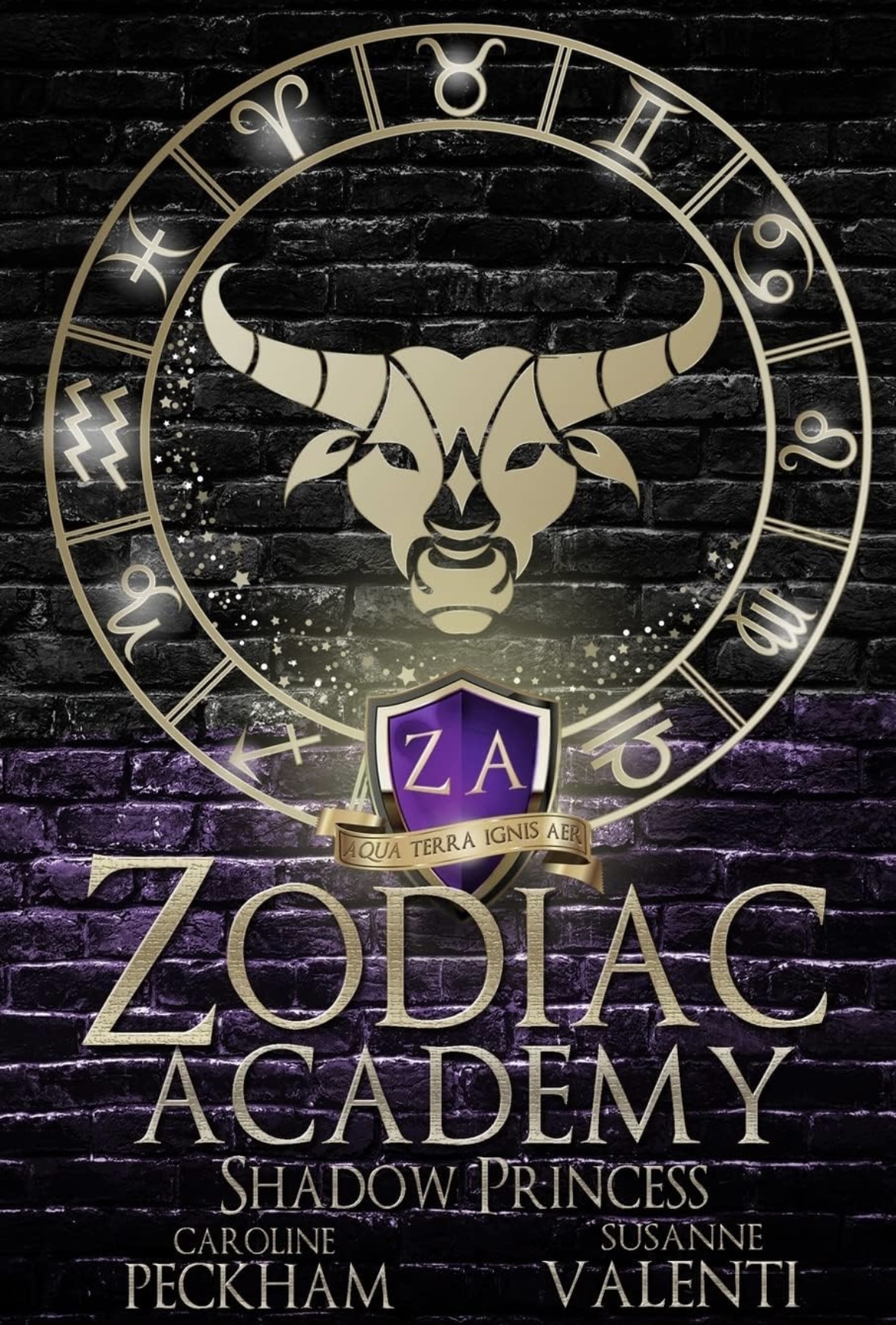 Zodiac Academy Shadow Princes Caroline Peckham Susanne Valenti